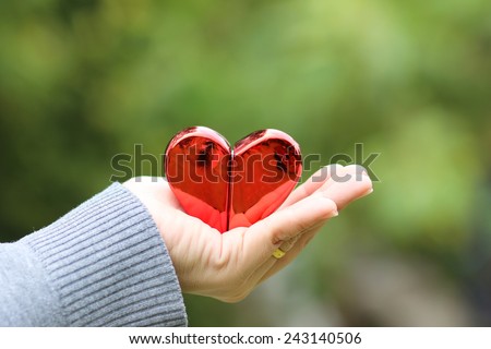 give love give heart on hand in nature valentine day
