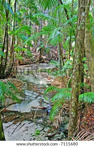 Fraser Island, Australia is the largest sand island in the world