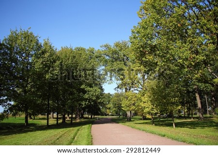 landscape: green trees, grass, dirt road in the park