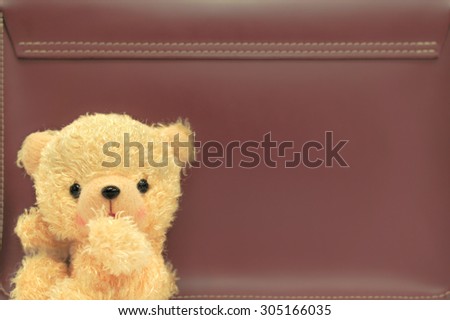 Cream Teddy Bear on a Leather Man Bag Background