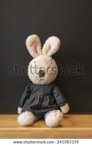 Cute Bunny Plush Doll in Polka Dot black and white Dress, isolated on Black Chalkboard
