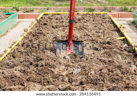 Metal shovel in the ground in the  seedbed. Vegetable garden. Household plot. Dacha.