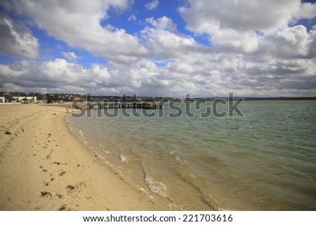 sandy beach along the clean ocean