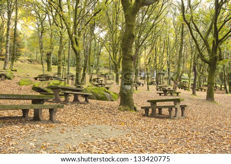 Picnic Park in the wood, Bom Jesus, Braga