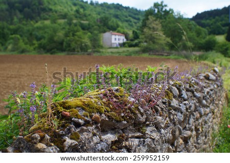 French countryside, a stone wall with flowers, and a house in the background