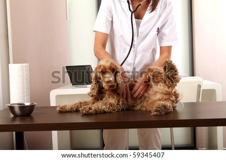 Female Animal-Doctor with a dog