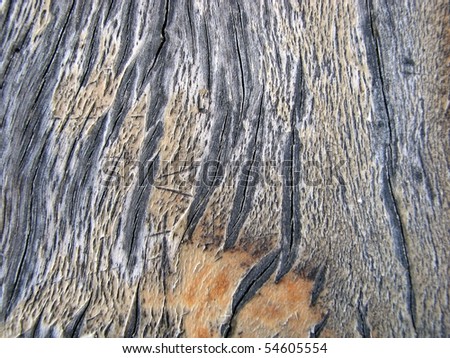 Macro Timber Textures 1