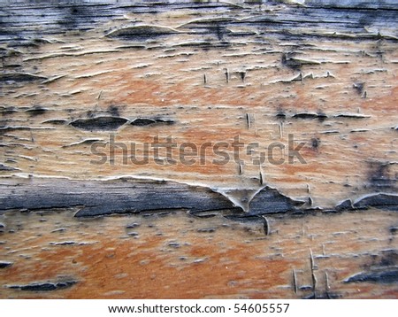 Macro Timber Textures 2