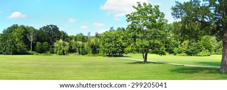 Park Tree Panorama