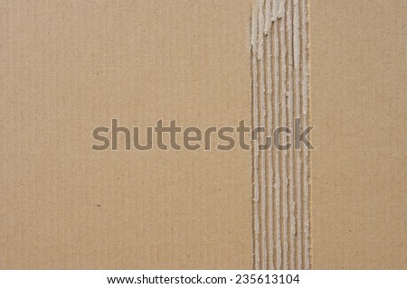 texture Corrugated paper background