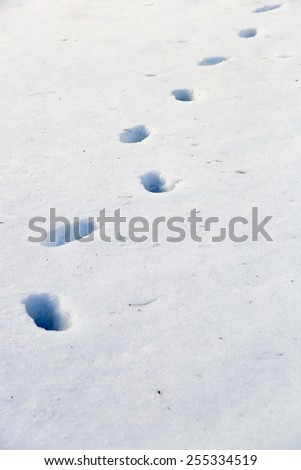 Footsteps in Snow