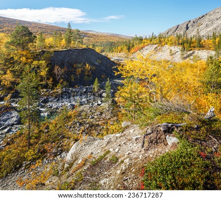 Colorful autumn northern taiga forest in Mannepahk valley, Hibiny mountains above the Arctic Circle, Russia