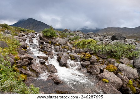 Rocky mountain stream waterfall cascade with willow bushes growing on its shore and cloudy mountain landscape on background, Hibiny mountains above the Arctic circle, Russia