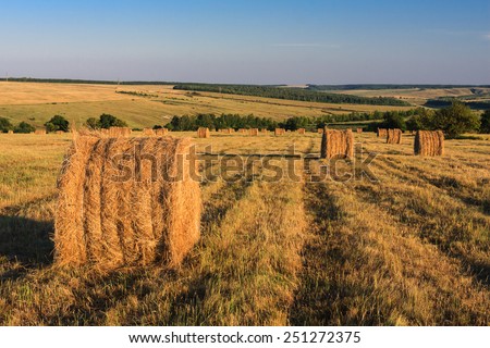 Dry haystacks after grass harvesting in Yamskaya Steppe protected area, Belgorod region in southern Russia