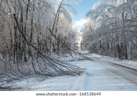 The after effects of an ice storm in winter.
