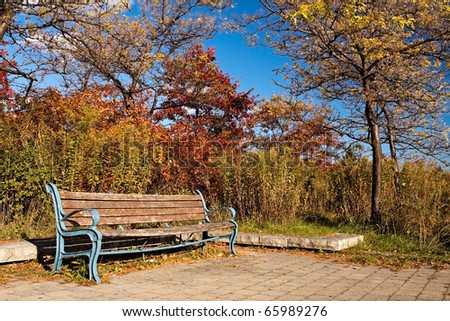 An empty bench surrounded by fall colours.