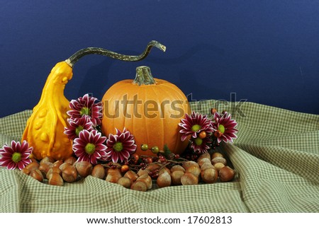 autumn still life of a gourd, pumpkin, nuts and flowers with room for copy.