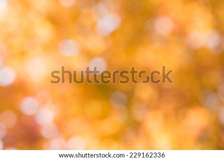 Soft blurred yellow background.