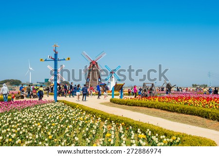 ANSAN,KOREA - APRIL 25 : Daebudo Tulips Festival is the largest tulips festival in Korea.Tourists taking photos of the beautiful scenery around Daebudo,Korea on April 25,2015.