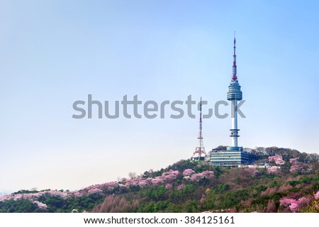 Cherry blossom in Seoul tower at namhansan in spring.