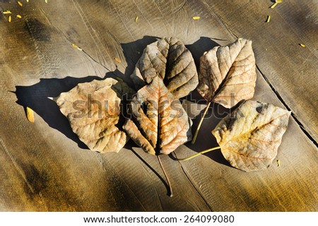 Bodhi leaves dry with gloss black on dark wood tone .