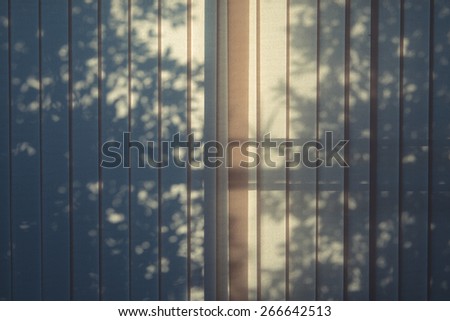 trees shadow on the curtain vintage style