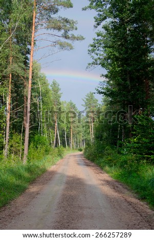 rainbow in the sky over the road in the forest