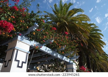 Garden scenery of flowers and palm trees on a sunny day in Andalusia, Spain