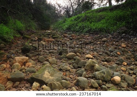 Stones on the dried river bed. Photograph taken in Algarve, Portugal