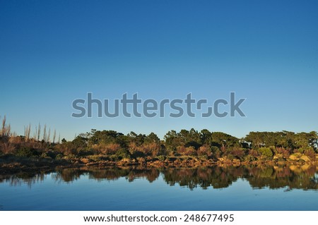Landscape with trees and vegetation reflecting on the lake. Landscape orientation