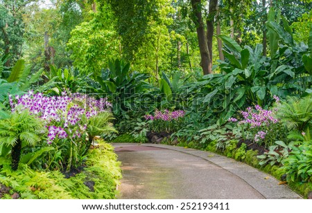 SINGAPORE, SINGAPORE - JANUARY 23: National Orchid garden in Singapore on JAN 23, 2015. It is located in the Singapore Botanic Gardens, and has about 60,000 orchid plants - consisting of 400 species.
