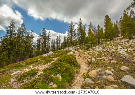 Hiking in Sequoia and Kings canyon national park, California.