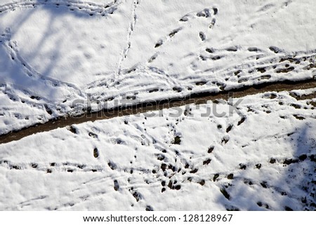View of many footsteps in the snow