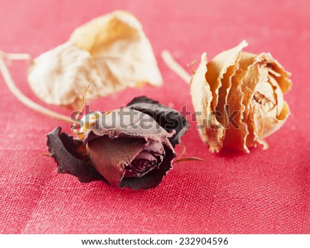 Two dried roses over red tissue background
