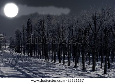 Landscape of trees in the snow under the moon