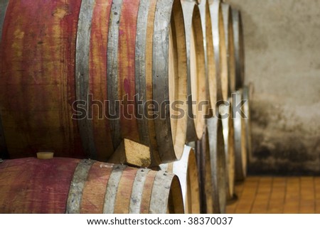 View of wooden barrels of wine in a cellar
