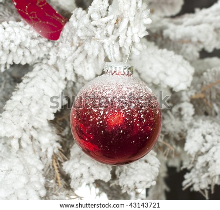 Red Christmas ball in a white Christmas tree