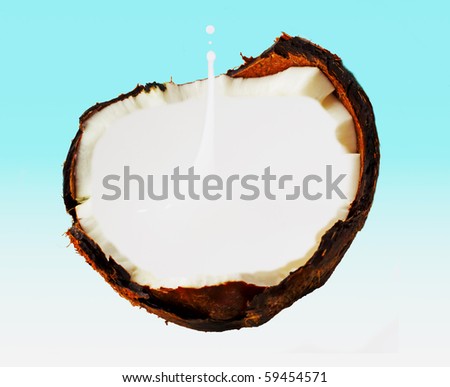 Drop of milk dropping in half coconut, blue and white background