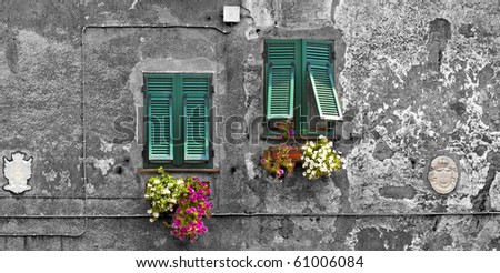 Two green windows with flowers on a gray wall