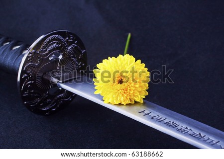 Close up of the blade of the reproduction of a katana, japanese old sword, with yellow flower over. Black tissue background