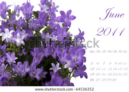 june 2011 calendar page. stock photo : Page of 2011