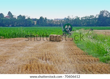 A Field of wheat with square bale
