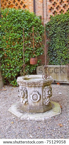 Old well in a garden, with big ivy wall