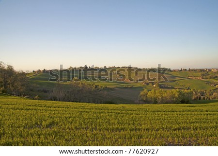 [Obrazek: stock-photo-green-and-gorgeous-vineyard-...620927.jpg]