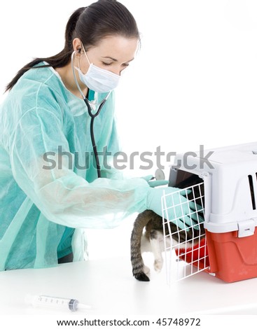 Female vet in protective uniform and