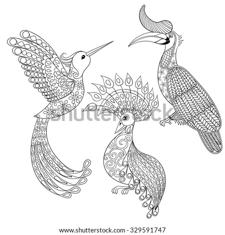 Coloring page with Hornbill, Hummingbird and exotic bird, zentangle illustartion for adult Coloring books or tattoos with high details isolated on white background. Vector monochrome bird set.