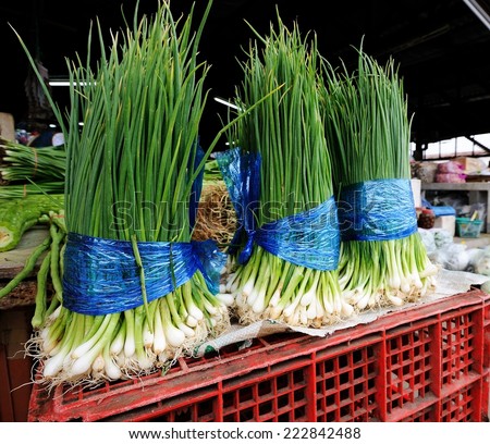 Spring onions, green spring onions in the market.