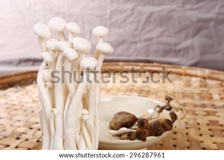 Variety of Mushrooms in dish