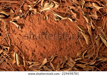 Red Dirt Surface with Leaves. Top View of Rough Road Texture Background. Text Space