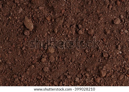 Ground Texture. Top View of a Dark Ground Surface. Close Up Macro View of Dirt and Stones. Soil Background with Text Space.